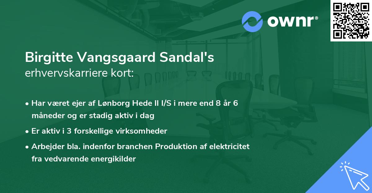 Birgitte Vangsgaard Sandal's erhvervskarriere kort