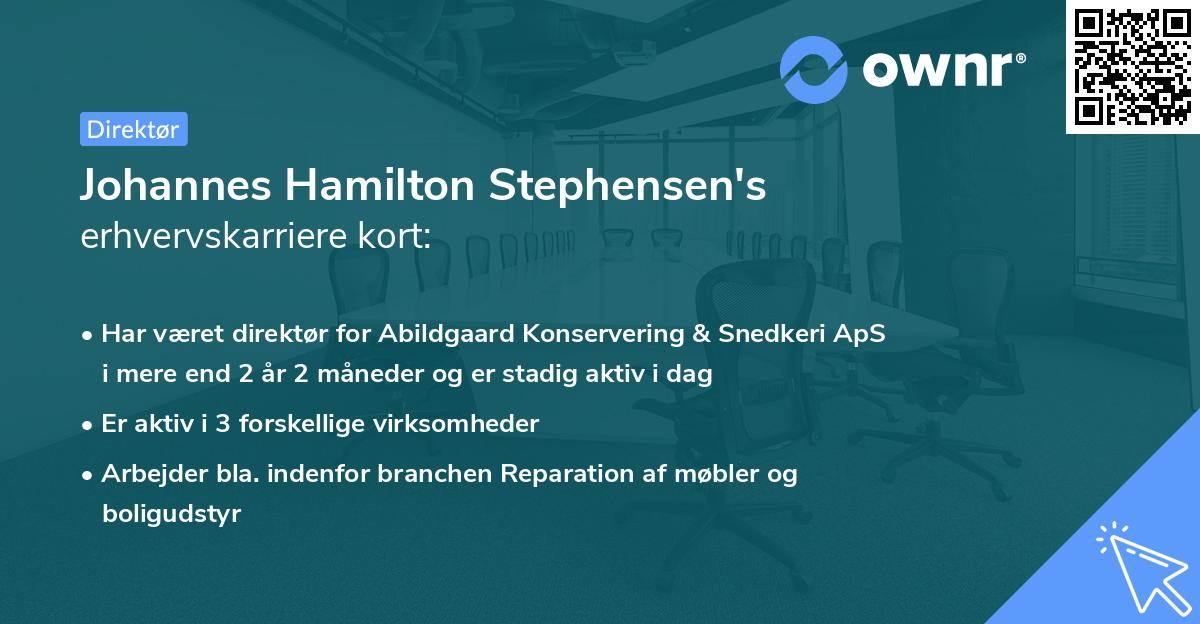 Johannes Hamilton Stephensen's erhvervskarriere kort