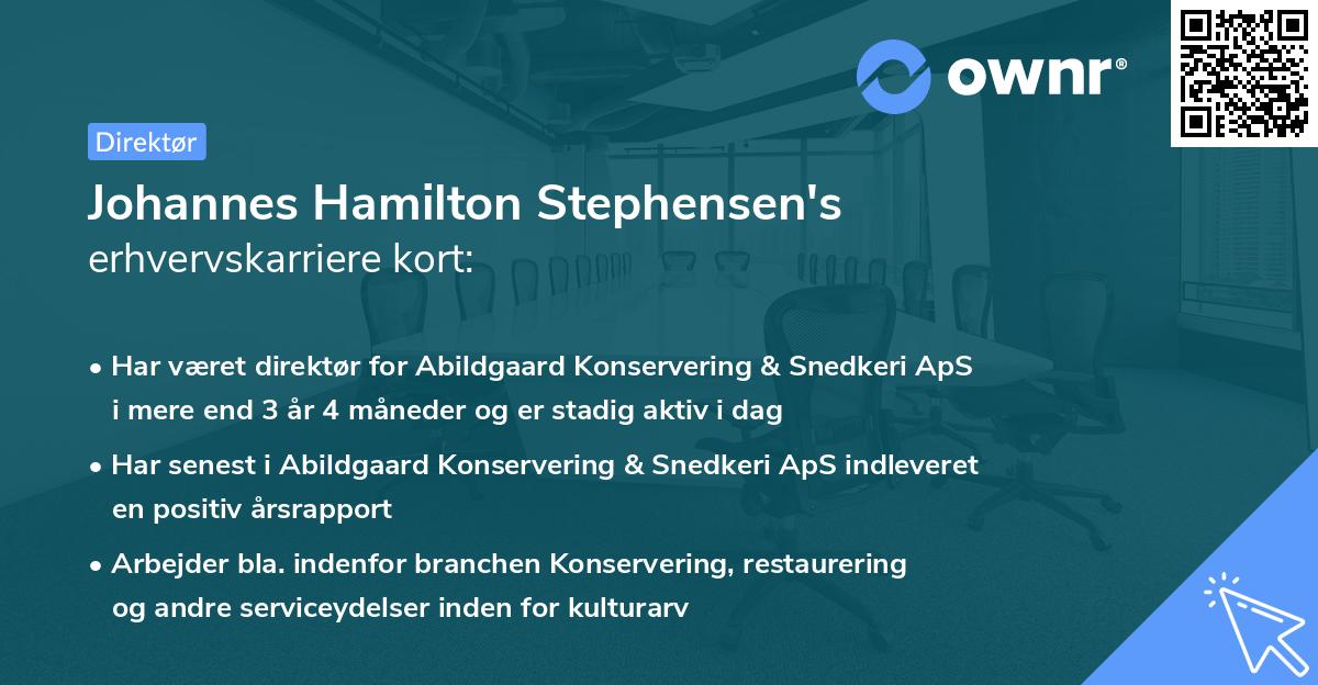 Johannes Hamilton Stephensen's erhvervskarriere kort