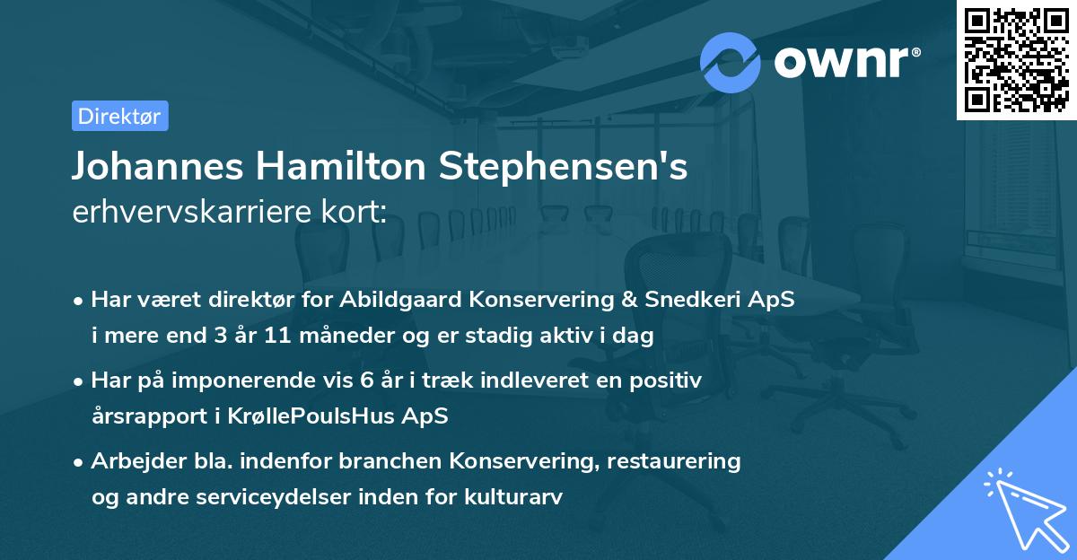 Johannes Hamilton Stephensen's erhvervskarriere kort