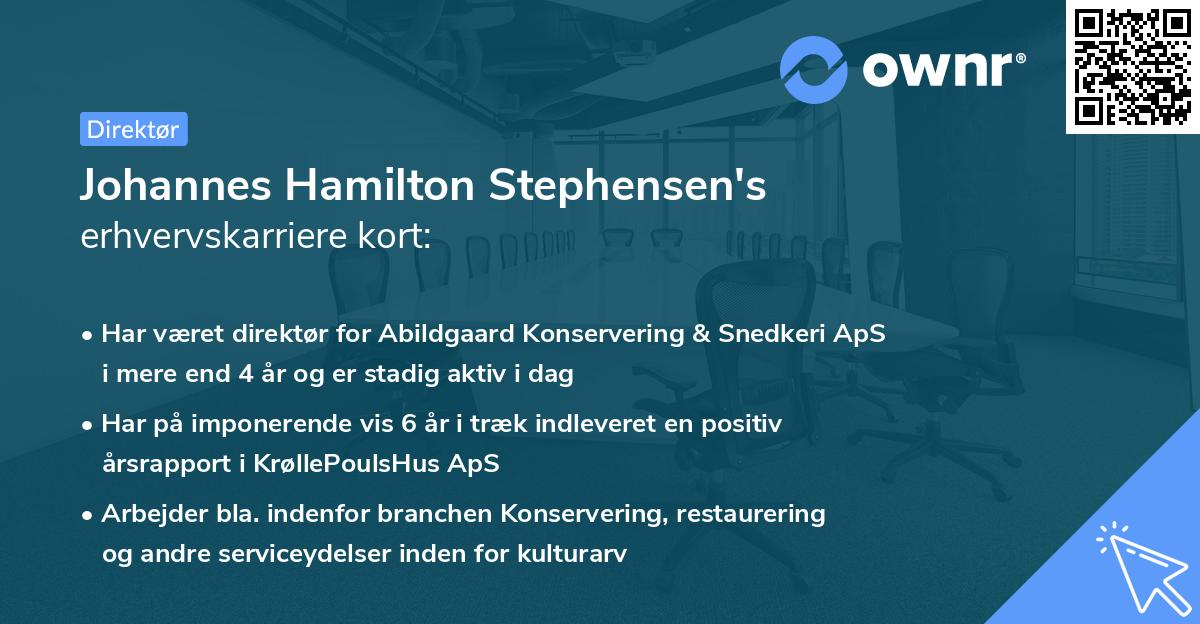 Johannes Hamilton Stephensen's erhvervskarriere kort