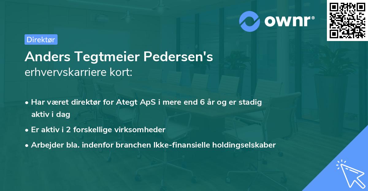 Anders Tegtmeier Pedersen's erhvervskarriere kort