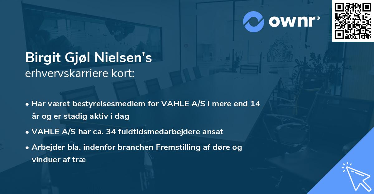 Birgit Gjøl Nielsen's erhvervskarriere kort
