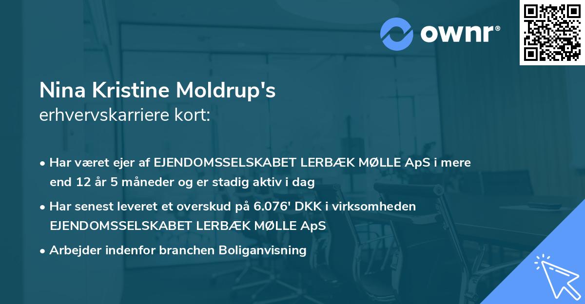 Nina Kristine Moldrup's erhvervskarriere kort