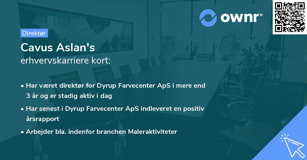 Cavus Aslan's erhvervskarriere kort