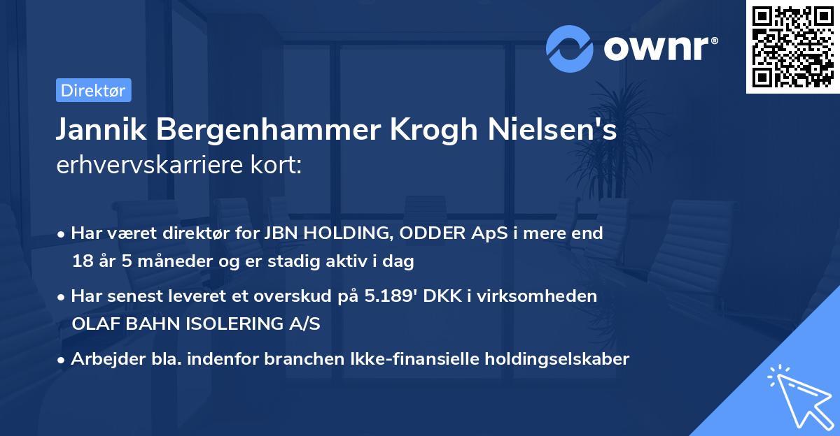 Jannik Bergenhammer Krogh Nielsen's erhvervskarriere kort