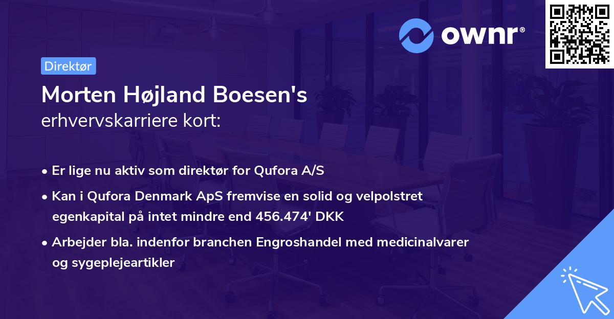 Morten Højland Boesen's erhvervskarriere kort