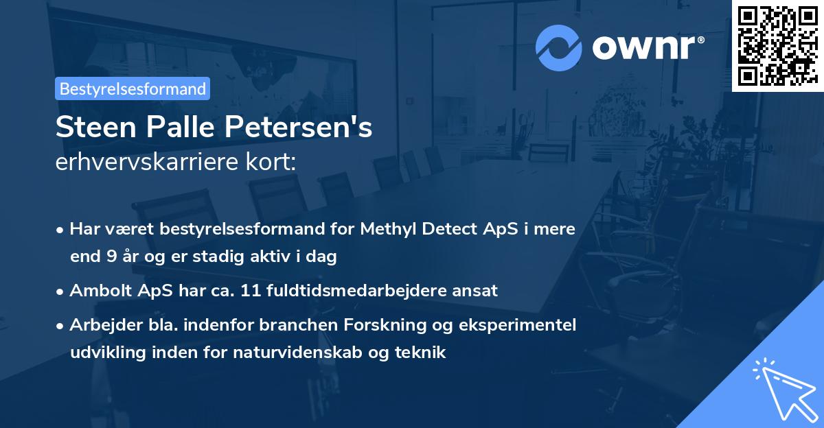 Steen Palle Petersen's erhvervskarriere kort