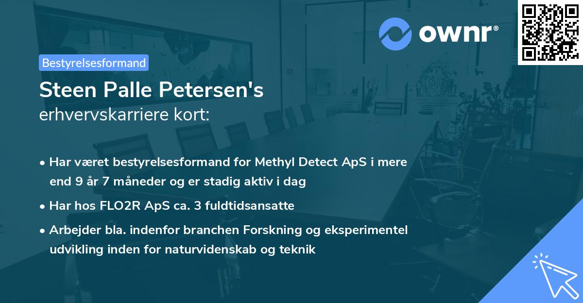 Steen Palle Petersen's erhvervskarriere kort