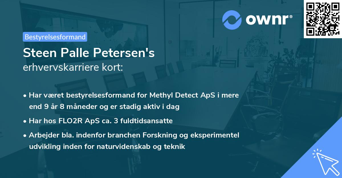 Steen Palle Petersen's erhvervskarriere kort