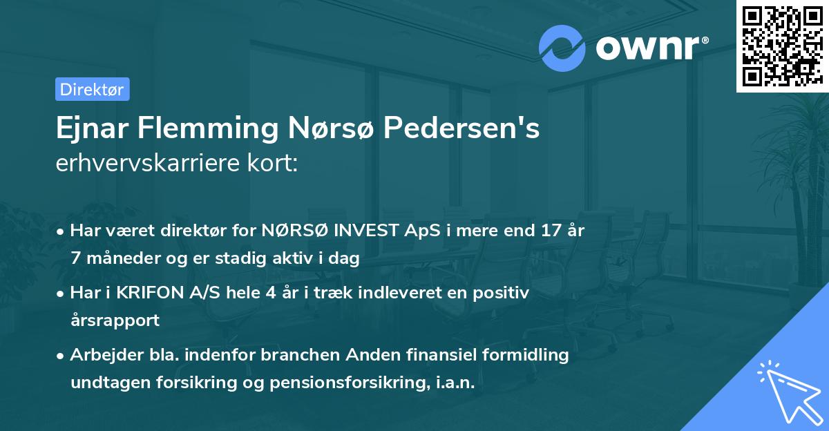 Ejnar Flemming Nørsø Pedersen's erhvervskarriere kort