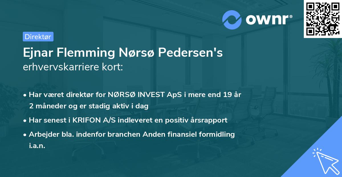 Ejnar Flemming Nørsø Pedersen's erhvervskarriere kort