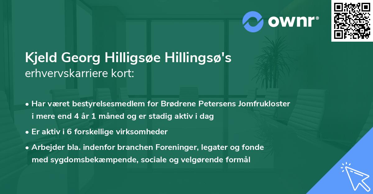 Kjeld Georg Hilligsøe Hillingsø's erhvervskarriere kort