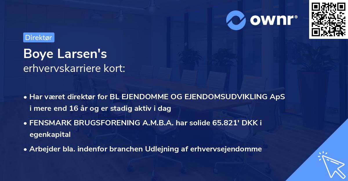 Boye Larsen's erhvervskarriere kort