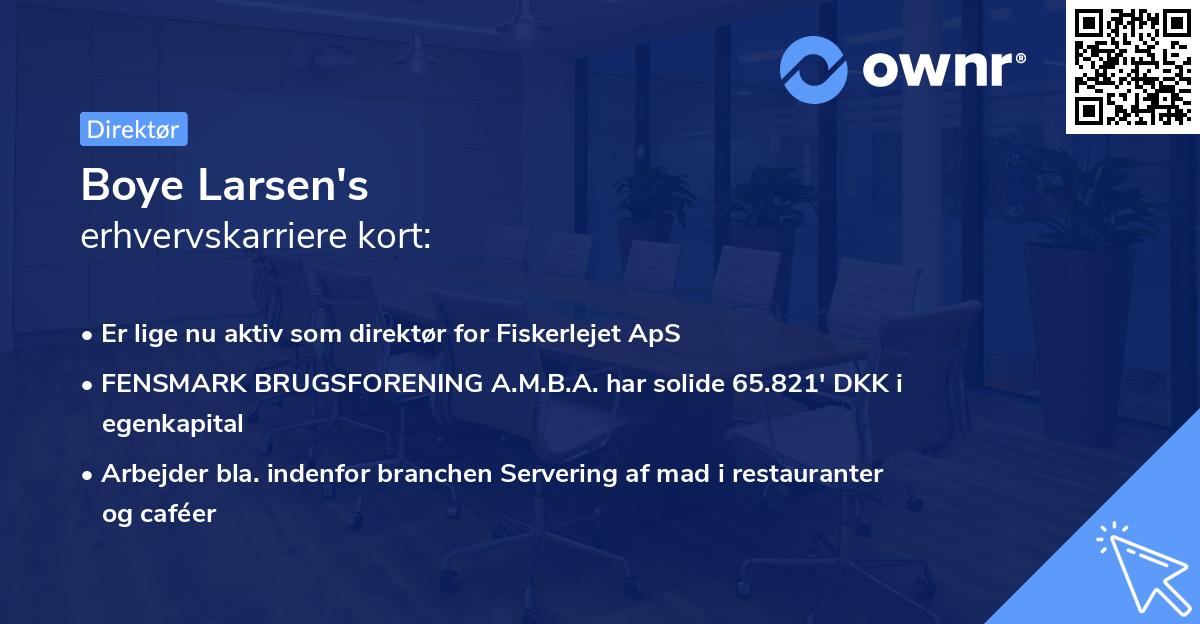 Boye Larsen's erhvervskarriere kort