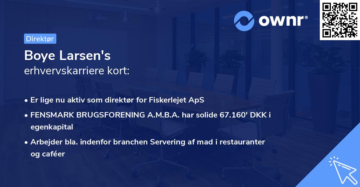 Boye Larsen's erhvervskarriere kort