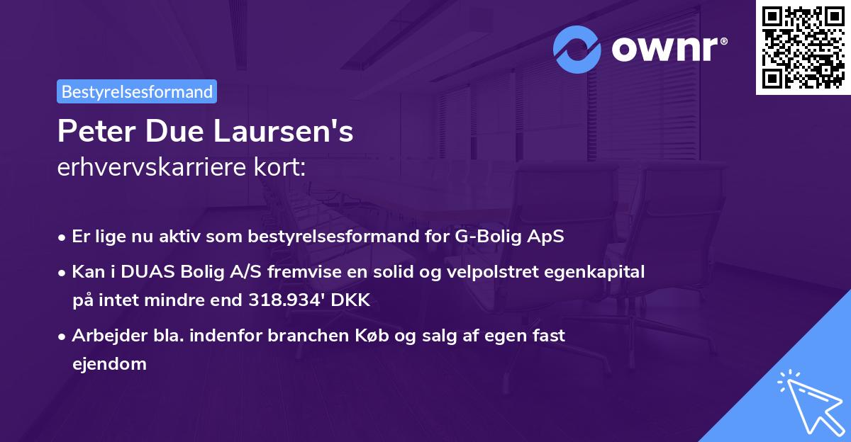Peter Due Laursen's erhvervskarriere kort