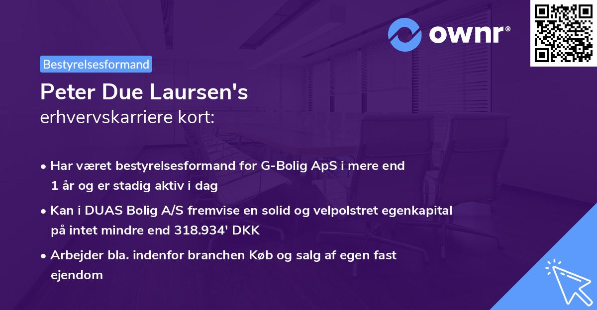 Peter Due Laursen's erhvervskarriere kort