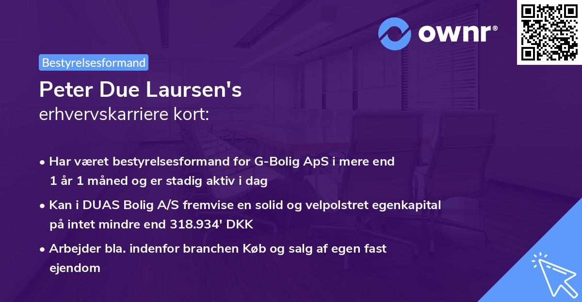 Peter Due Laursen's erhvervskarriere kort