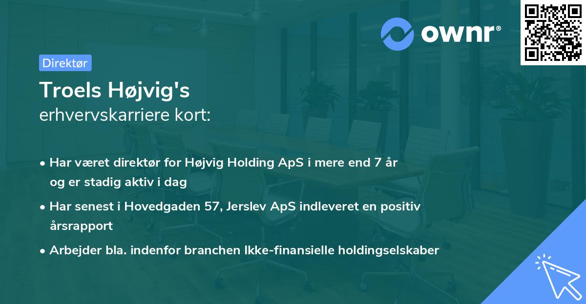 Troels Højvig's erhvervskarriere kort