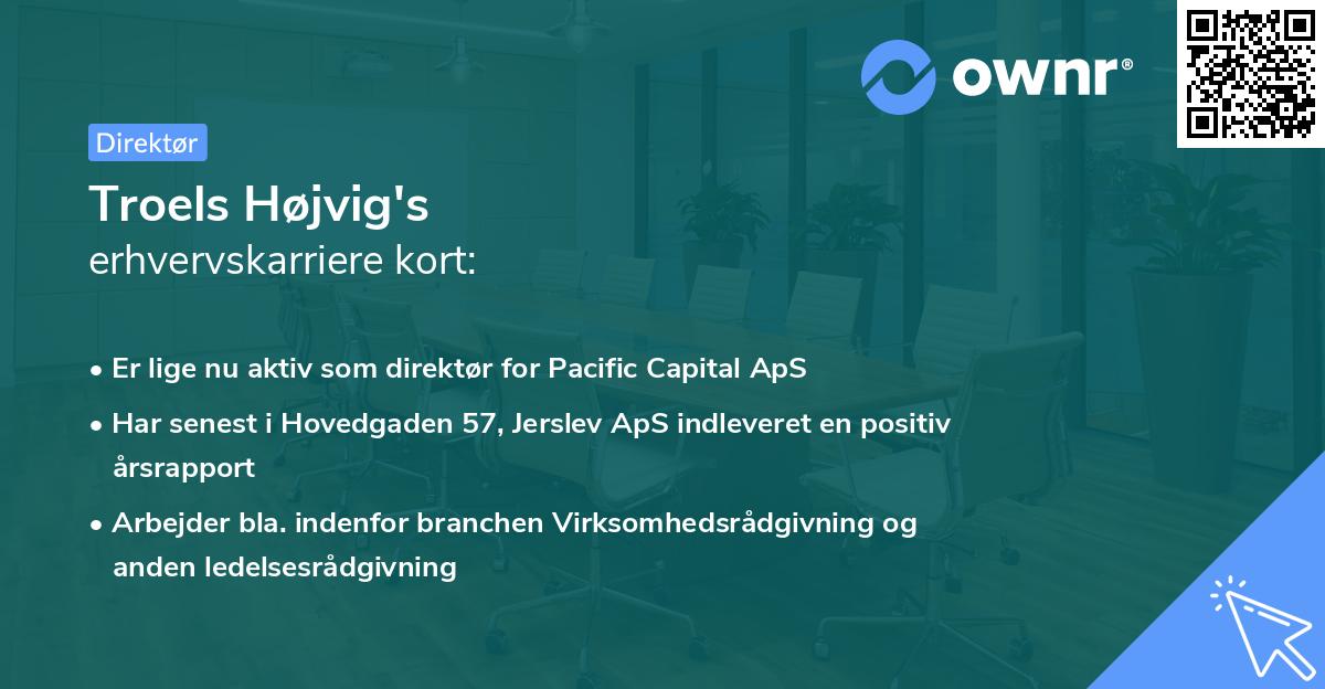 Troels Højvig's erhvervskarriere kort