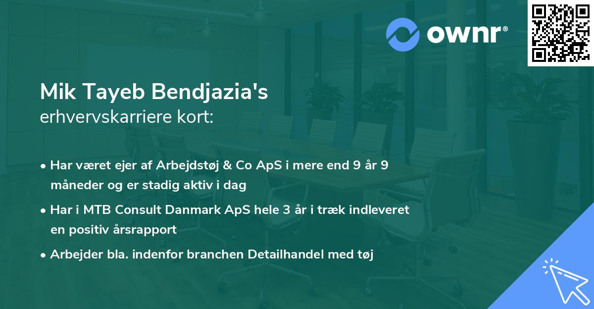 Mik Tayeb Bendjazia's erhvervskarriere kort