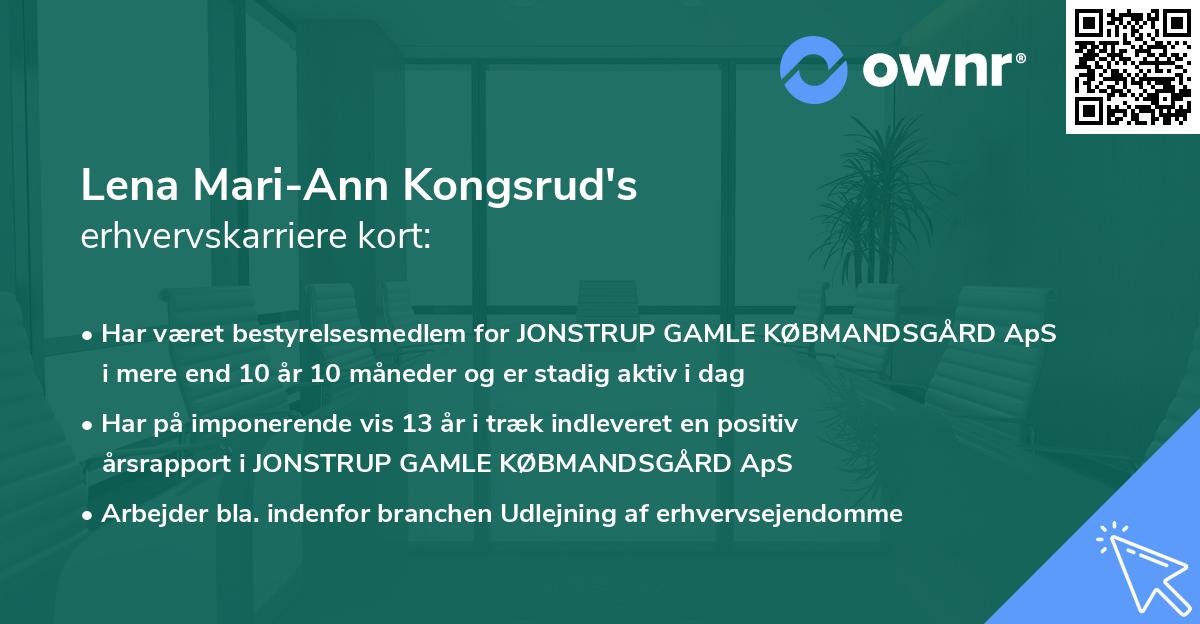 Lena Mari-Ann Kongsrud's erhvervskarriere kort