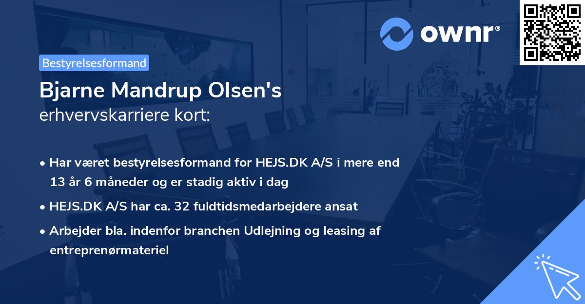 Bjarne Mandrup Olsen's erhvervskarriere kort