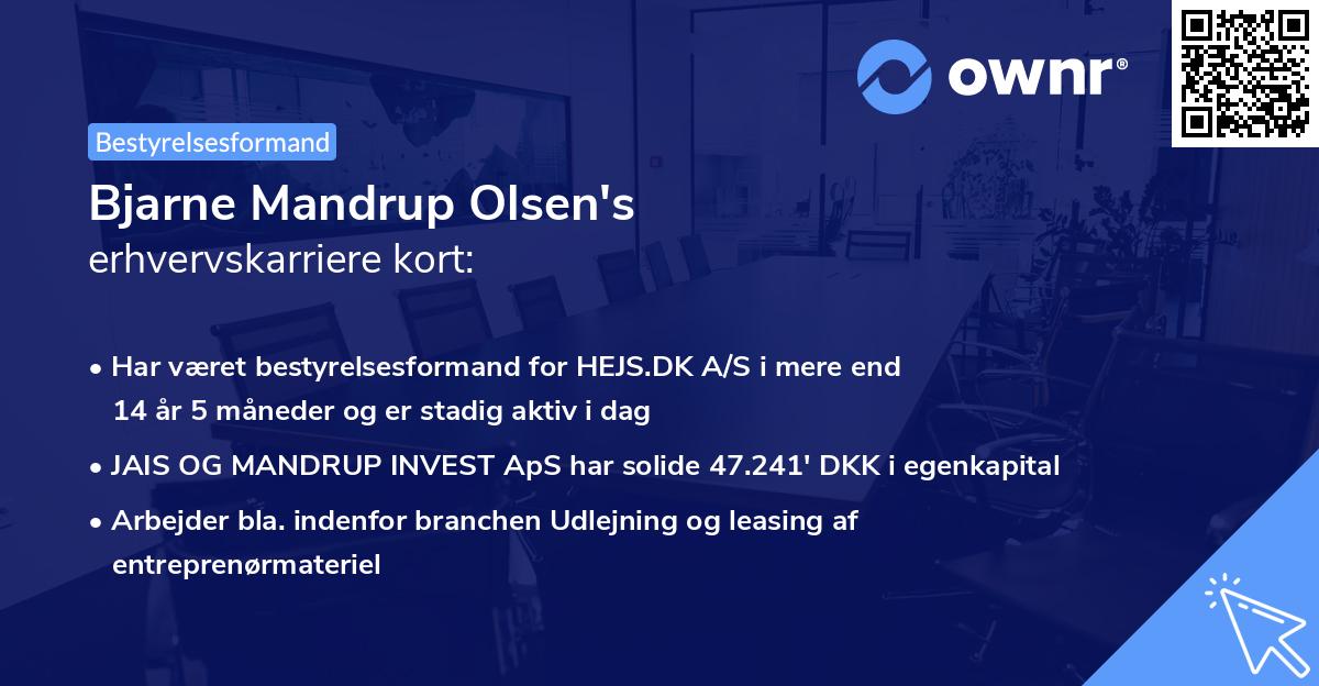 Bjarne Mandrup Olsen's erhvervskarriere kort