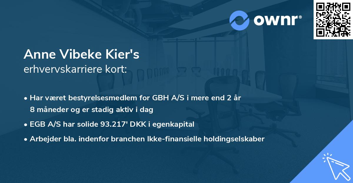 Anne Vibeke Kier's erhvervskarriere kort
