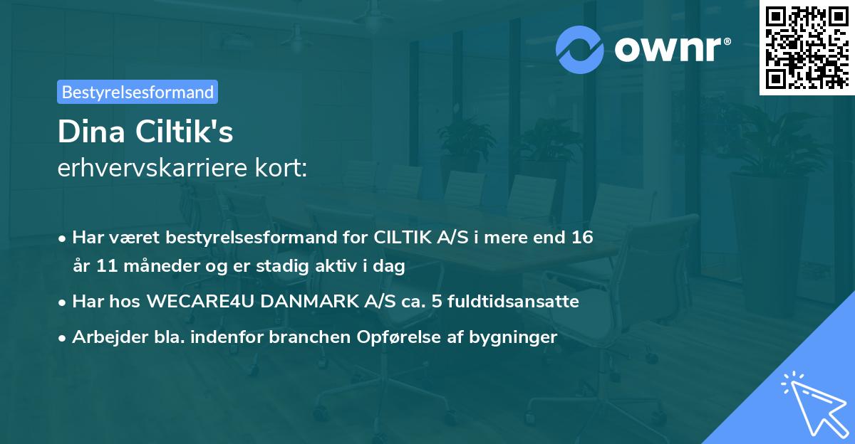 Dina Ciltik's erhvervskarriere kort