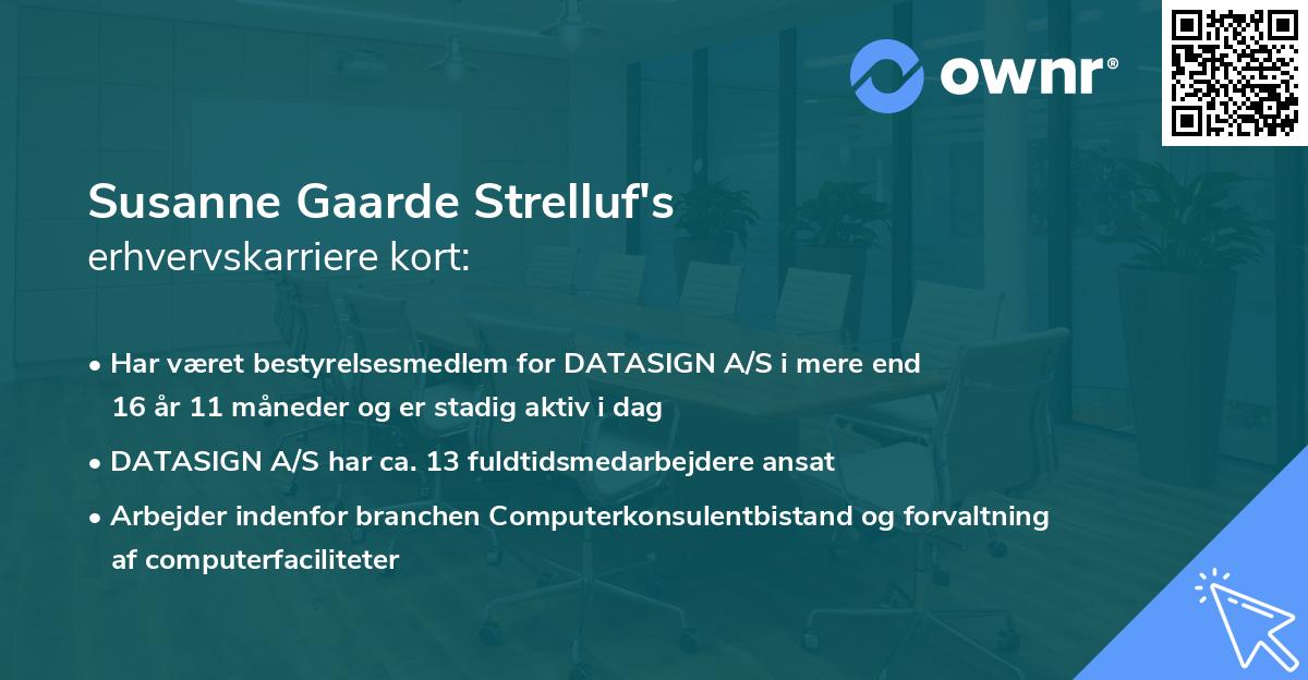 Susanne Gaarde Strelluf's erhvervskarriere kort
