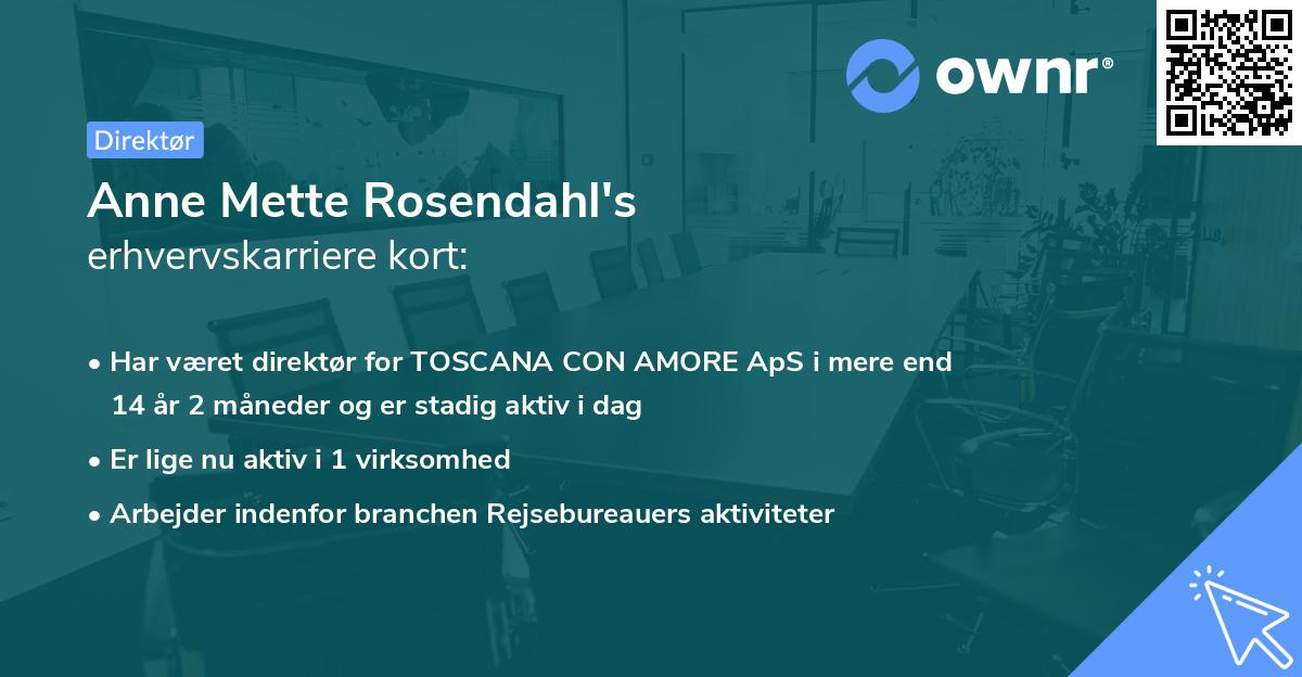 Anne Mette Rosendahl's erhvervskarriere kort