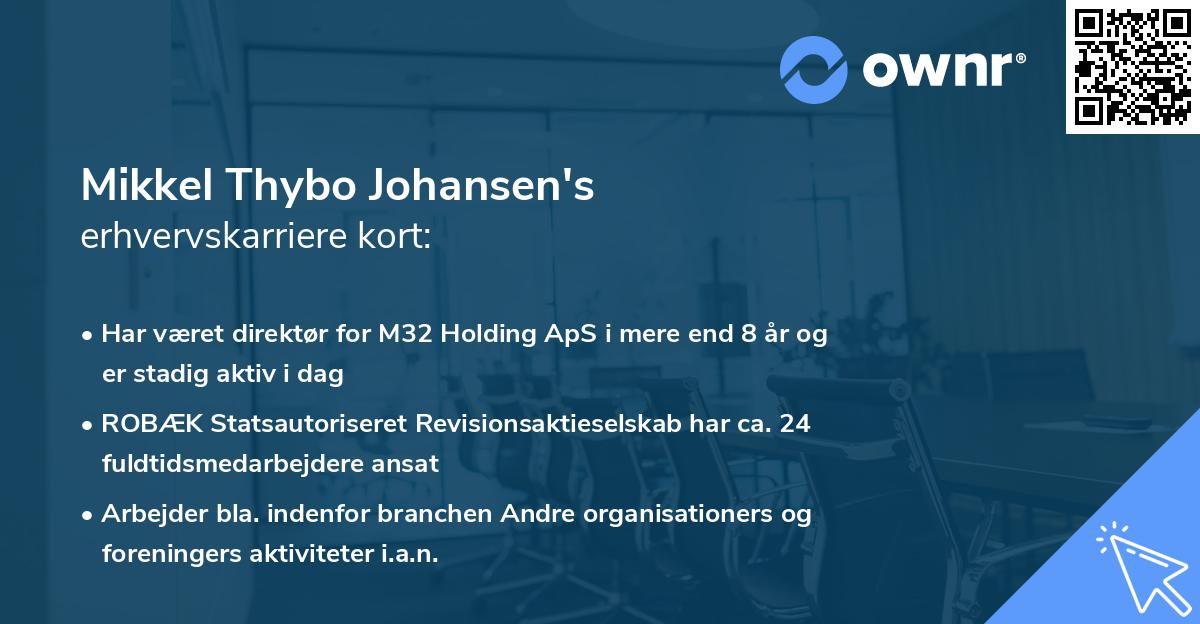Mikkel Thybo Johansen's erhvervskarriere kort