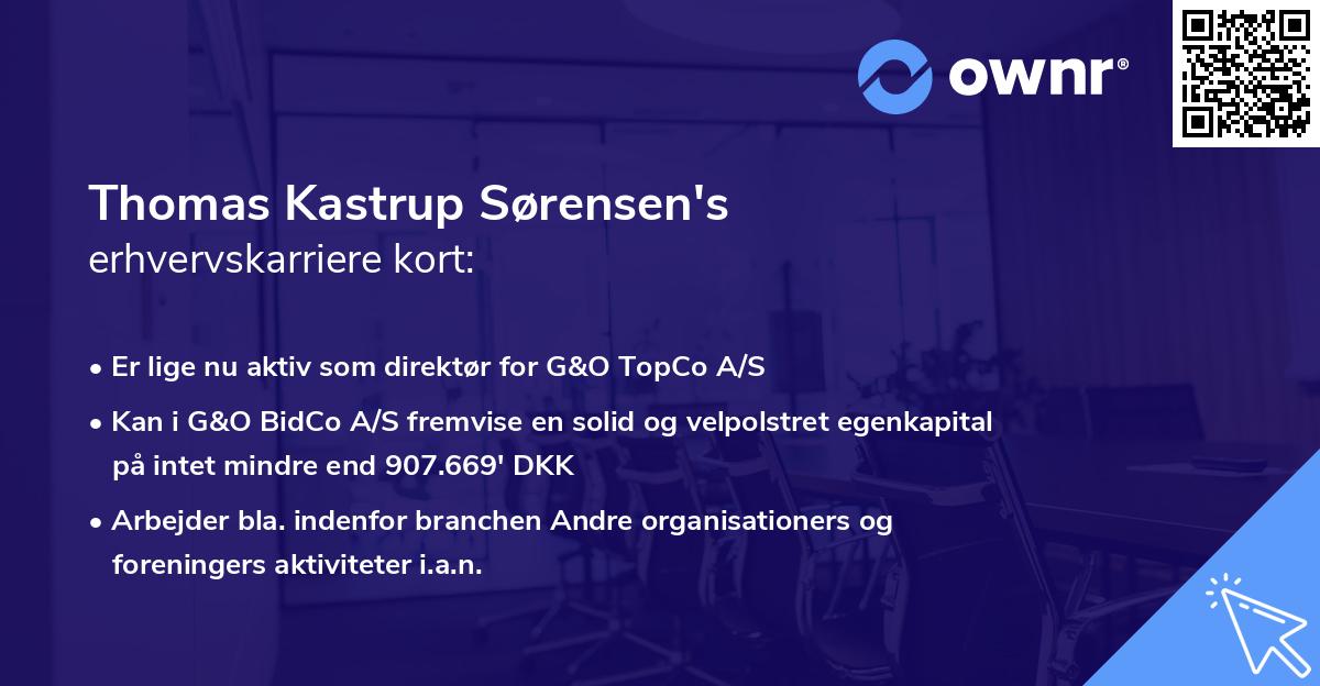 Thomas Kastrup Sørensen's erhvervskarriere kort