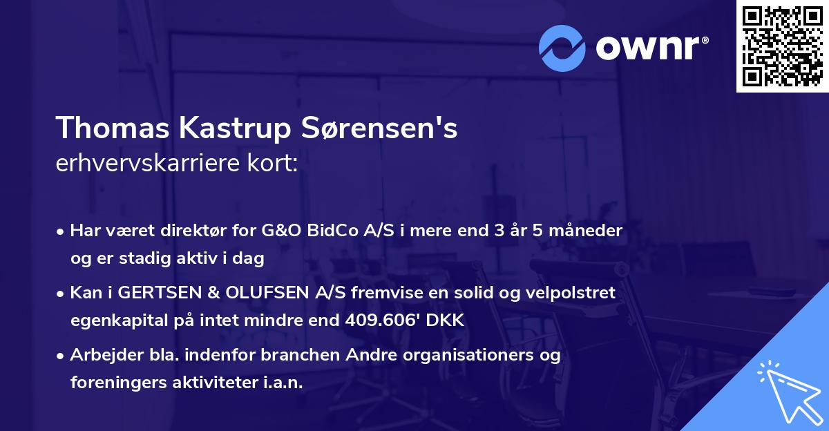 Thomas Kastrup Sørensen's erhvervskarriere kort
