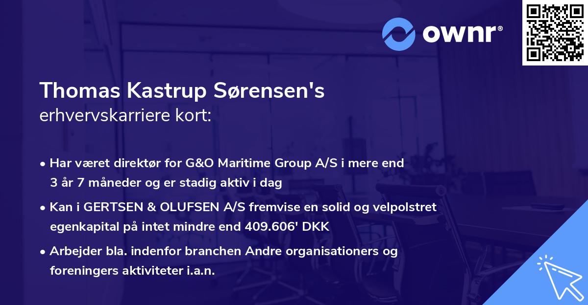 Thomas Kastrup Sørensen's erhvervskarriere kort
