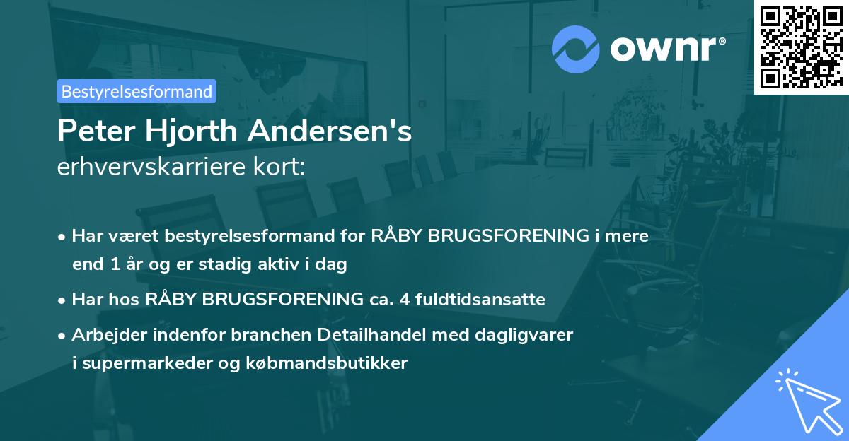 Peter Hjorth Andersen's erhvervskarriere kort