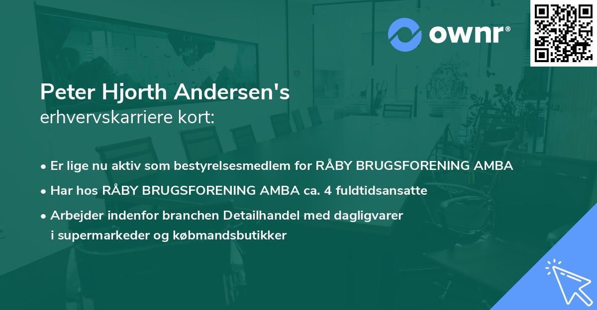 Peter Hjorth Andersen's erhvervskarriere kort