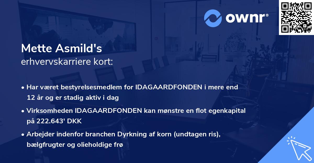 Mette Asmild's erhvervskarriere kort