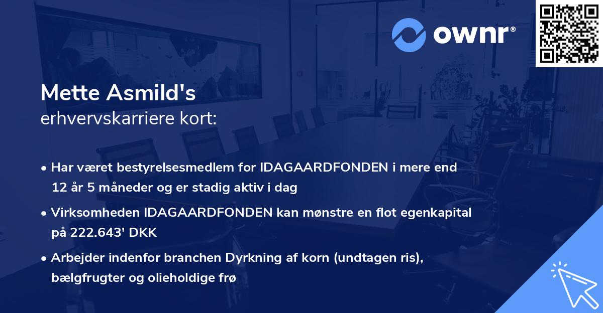 Mette Asmild's erhvervskarriere kort