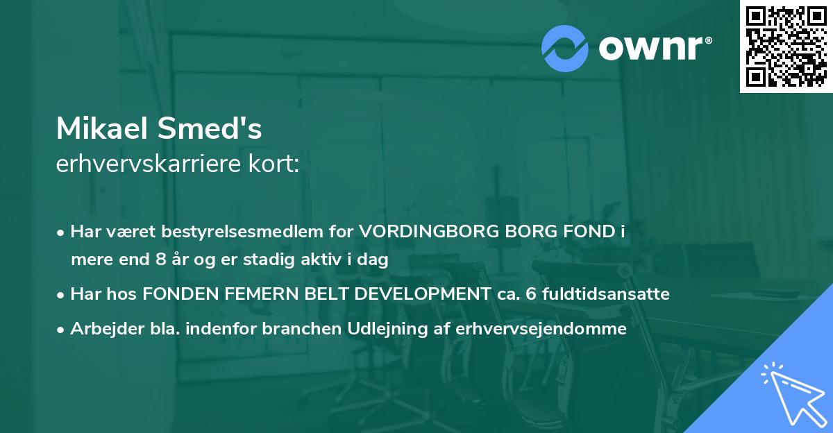 Mikael Smed's erhvervskarriere kort