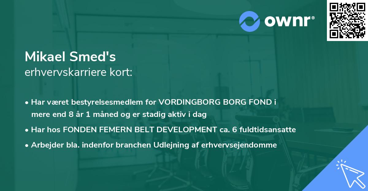 Mikael Smed's erhvervskarriere kort
