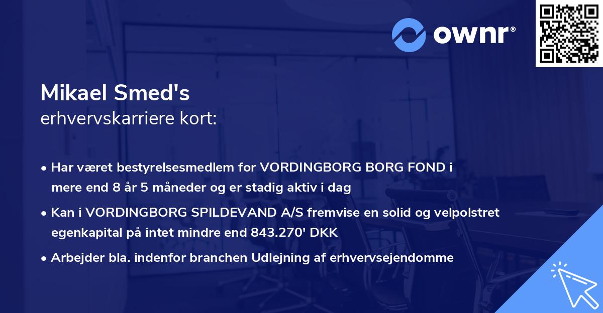 Mikael Smed's erhvervskarriere kort