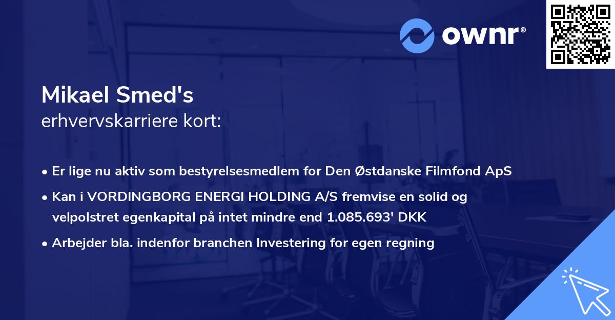 Mikael Smed's erhvervskarriere kort