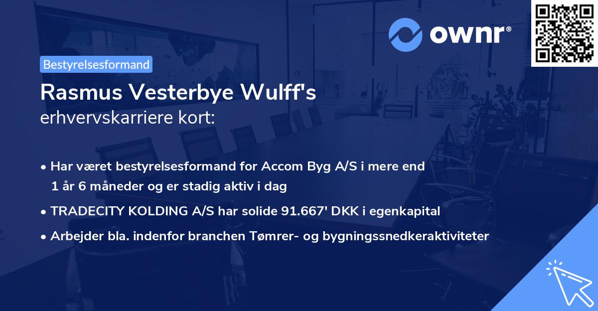Rasmus Vesterbye Wulff's erhvervskarriere kort