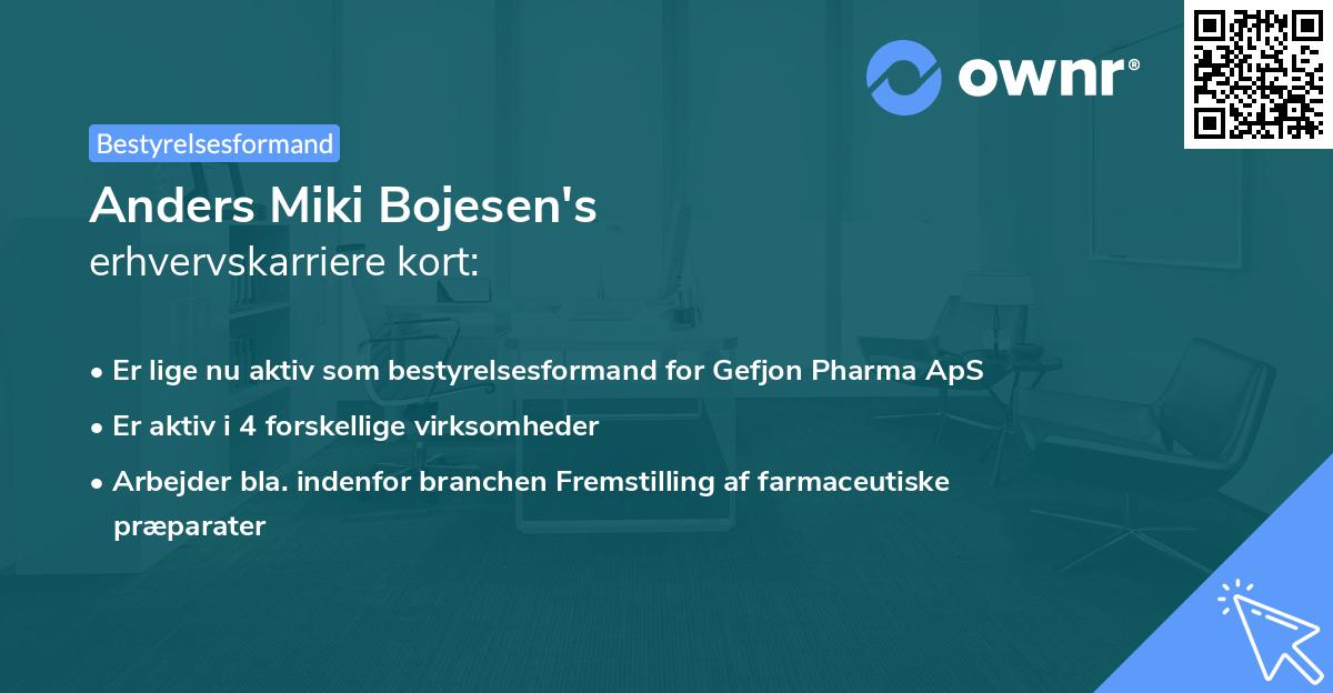 Anders Miki Bojesen's erhvervskarriere kort