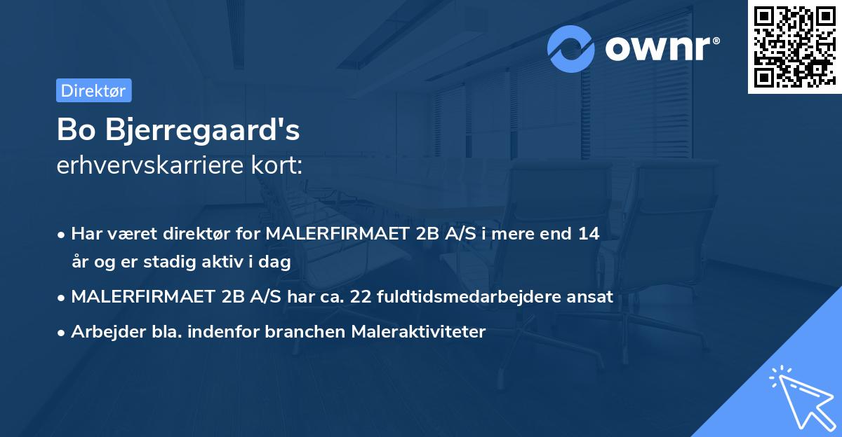 Bo Bjerregaard's erhvervskarriere kort