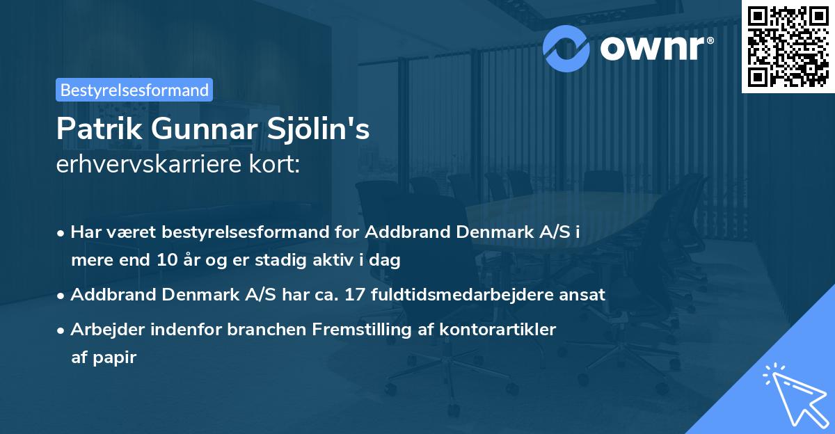 Patrik Gunnar Sjölin's erhvervskarriere kort