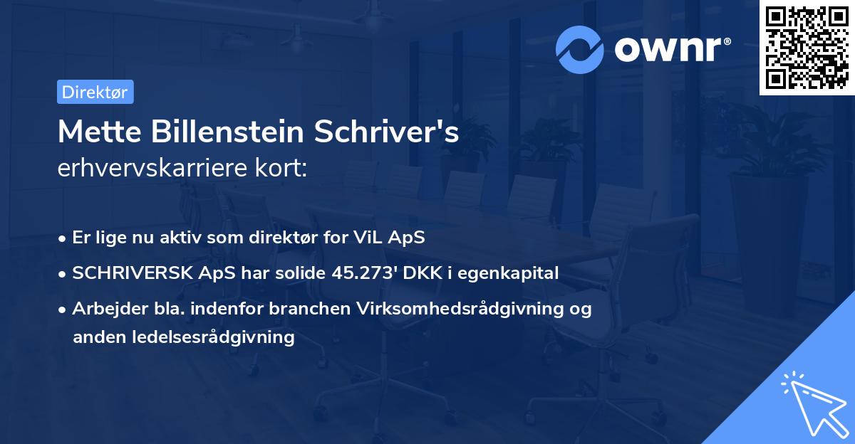 Mette Billenstein Schriver's erhvervskarriere kort